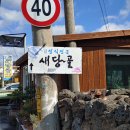 새당골