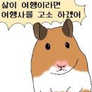 호텔마레 이미지