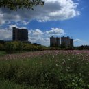 광양커뮤니티센터 이미지