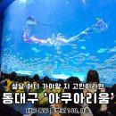 베스트피쉬 수족관 | 대구 아쿠아리움 할인 카드 꿀팁 생일 연간회원권 좋아요