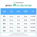 스카이네트워크