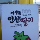 연곡주유소 이미지