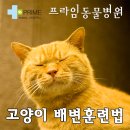 구리동물병원 이미지