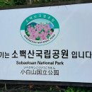 소백산 국망봉 돼지바위 Daum카페
