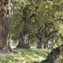 반곡저수지 이미지