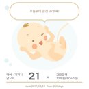 누가머랭
