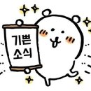 씨씨엘 | NAATI CCL 합격 수기를 가져왔은