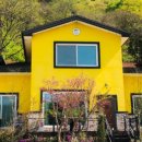 장태산 노랑펜션 이미지