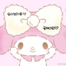 🌱용승이 보러 왔습니다💚 이미지