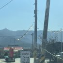 전주김밥 | 전주 중인리 카페 <일상애락>후기 - 당근김밥 맛집 🥰