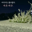 까르페호텔 | 김해 까르페호텔에서 묵어본 후기!