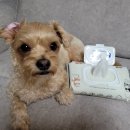 둥이축산 이미지