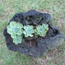 제주스카이휴양펜션 이미지