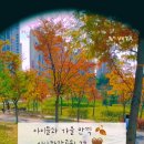 미사한강2호공원 이미지