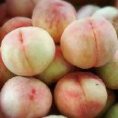 오부자청과 이미지