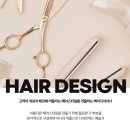 헤어디자인하다 이미지