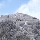 양재역 11번출구 옆 이미지