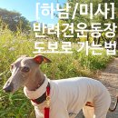 당정근린공원 | [하남/미사]반려견놀이터(운동장) 후기&amp;걸어서 가는 방법
