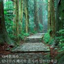 떼아모 이미지