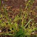 곡정초등학교 이미지