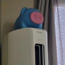 올림안과의원 이미지