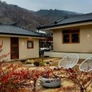 스테이담 이미지