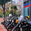 로얄다방 이미지