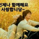쉼 Daum카페