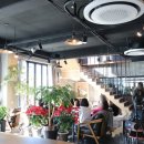 카페 수 이미지