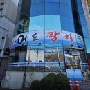 이어도참치 이미지