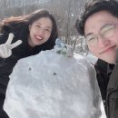 그린목장 | 여행지 추천, 평창 대관령 삼양라운드힐(삼양목장) 양떼목장 방문후기(그린/화이트시즌 계절별 비교)