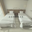 바이바우 이미지