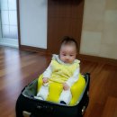 우영자동차 이미지