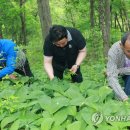 진동계곡마을 이미지