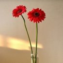 달산농장 이미지