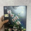 난초익스프레스 네이버블로그
