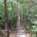 대야산자연휴양림 이미지