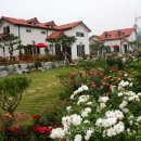 강천산 힐링가 이미지