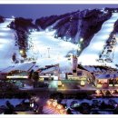 대명비발디파크 이미지