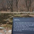 봉림흑염소 이미지