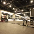 보리스 짐 이미지