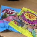 맨날 최선을 다하지는 마라 피곤해서 못 산다