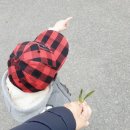 컷트랑빠마랑 이미지