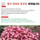팝스페이스 이미지