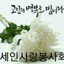 제남사 김정의 님 시모상~ 이미지