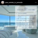 당신의안목 브리에 이미지