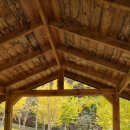 꼬꼬양계농장 이미지