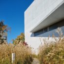 미메시스 아트 뮤지엄 이미지