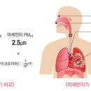 미세먼지가 인체에 미치는 영향 이미지