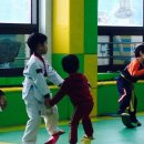 새샘태권도장 이미지